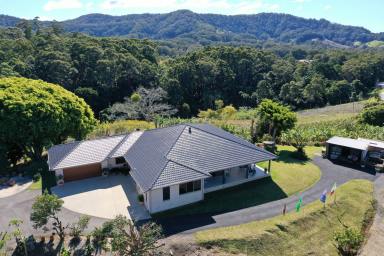 Farm Sold - NSW - Korora - 2450 - FOUR BEDROOM FAMILY HOME, 10 ACRES, OCEAN VIEWS  (Image 2)