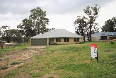 Farm Sold - WA - Roelands - 6226 - Blank Canvas Opportunity!  (Image 2)