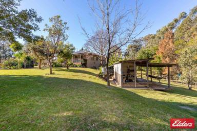Farm Sold - NSW - Long Beach - 2536 - Coast meets Country  (Image 2)