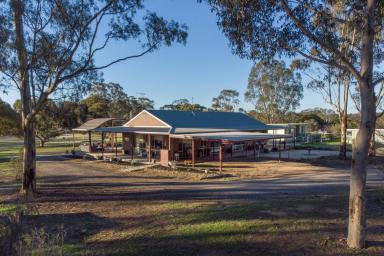 Farm Sold - VIC - Alma - 3465 - 2 hours to Melbourne updated move in ready country ranch with expansive external alfrescos nestled into a picturesque rural environment  (Image 2)