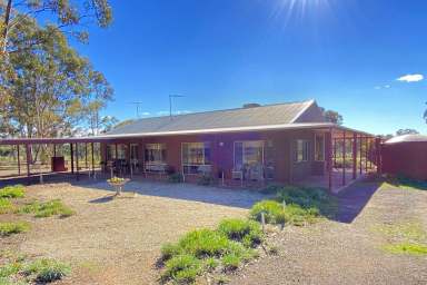 Farm Sold - VIC - Alma - 3465 - 2 hours to Melbourne updated move in ready country ranch with expansive external alfrescos nestled into a picturesque rural environment  (Image 2)