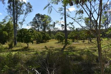 Farm Sold - QLD - Tinana South - 4650 - Acreage Parcel  (Image 2)