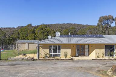 Farm Sold - NSW - Goulburn - 2580 - "Peace & Quiet" with potential income  (Image 2)