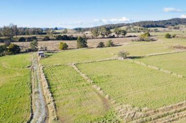 Farm Sold - TAS - Glengarry - 7275 - 23 acres rural-living zoned land  (Image 2)