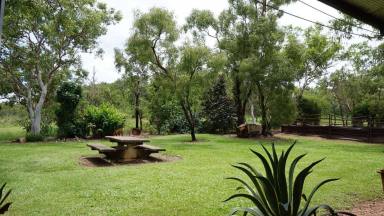 Farm For Sale - NT - Tortilla Flats - 0822 - Oakey Downs  (Image 2)