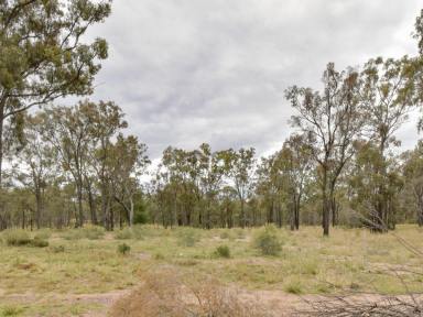Farm Sold - QLD - Leslie Dam - 4370 - 40 Acres 10 mins from Warwick!  (Image 2)