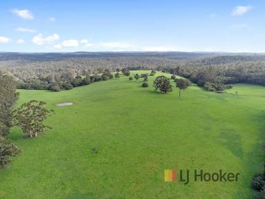 Farm Sold - WA - Northcliffe - 6262 - "Prime Northcliffe Country"  (Image 2)