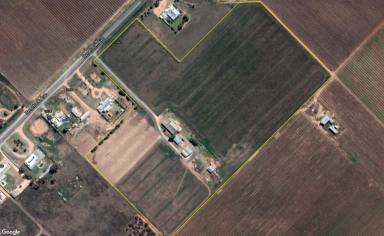 Farm Sold - VIC - Irymple - 3498 - Expand or redevelop with spacious home  (Image 2)
