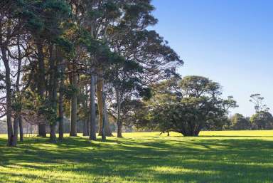 Farm Sold - WA - Margaret River - 6285 - STUNNING PROPOSED CONSERVATION LOT  (Image 2)