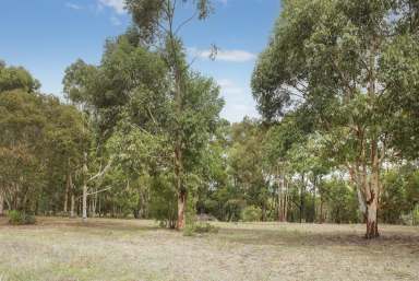 Farm Sold - WA - Margaret River - 6285 - BEAUT BLOCK ON BRUMBY!  (Image 2)