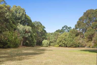 Farm Sold - WA - Margaret River - 6285 - BEAUT BLOCK ON BRUMBY  (Image 2)