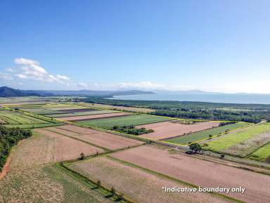 Farm Sold - QLD - Killaloe - 4877 - VERSATILE 89Ha - 2 TITLES OF LAND UNDER CROP  (Image 2)