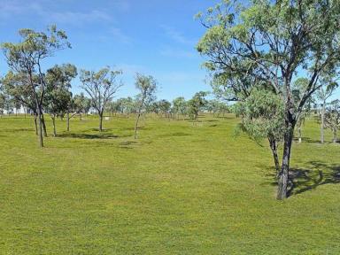 Farm Sold - QLD - Gracemere - 4702 - Small acreage with big country vista  (Image 2)