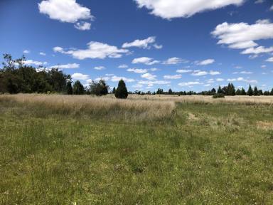Farm Sold - NSW - Tambar Springs - 2381 - PICTURESQUE VACANT LAND LIFESTYLE OFFEERING  (Image 2)