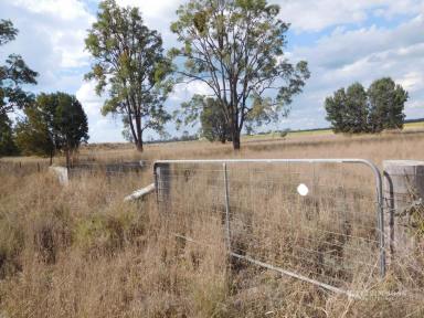 Farm Sold - QLD - Dalby - 4405 - TOP HORSE PADDOCK WITH GOOD DAM  (Image 2)