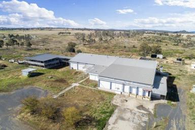 Farm Sold - QLD - Pittsworth - 4356 - Cool-Rooms, 40ML Water Licence, 58 Acres, Sealed Access, Transport Links, Town Water  (Image 2)