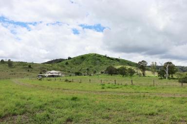 Farm For Sale - QLD - THEEBINE - 4570 - ON TOP OF THE WORLD  (Image 2)