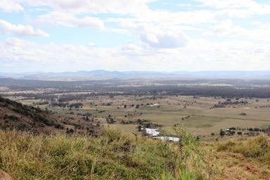 Farm For Sale - QLD - THEEBINE - 4570 - ON TOP OF THE WORLD  (Image 2)