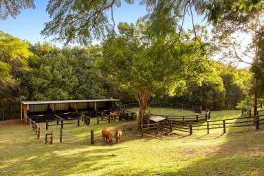 Farm Sold - QLD - Cootharaba - 4565 - Secluded Property Ideal for Horse Lovers  (Image 2)