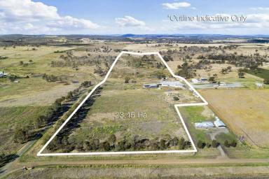 Farm Sold - QLD - Pittsworth - 4356 - WATER, LAND, Location, Sheds: 58 Acres with 40 MegaLitres (ML), Pittsworth QLD  (Image 2)