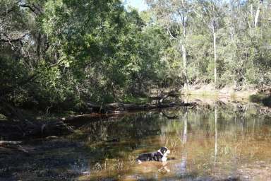 Farm Sold - QLD - Woocoo - 4620 - 80 Acres  (Image 2)