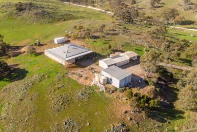 Farm Sold - SA - Rockleigh - 5254 - FOR SALE BY EOI - "YATTARNA" Rockleigh         175.7 Ha or 434 Ac approx.  (Image 2)