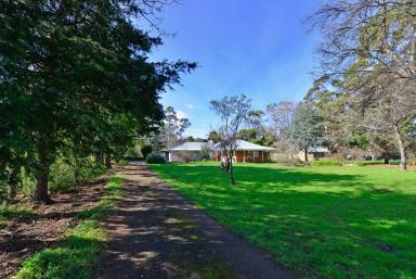 Farm Sold - TAS - Bagdad - 7030 - Lifestyle Country Property  (Image 2)