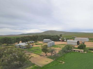 Farm Sold - SA - Mundoora - 5555 - Well Improved Mixed Farming Property  (Image 2)
