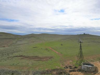 Farm Sold - SA - Gulnare - 5471 - Productive Hills Grazing  (Image 2)