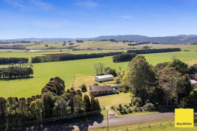 Farm Sold - NSW - Dorrigo - 2453 - Desirable 1.5 Acre property with Brick Home.  (Image 2)