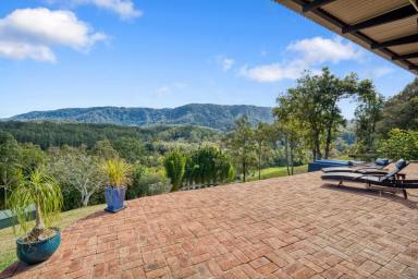 Farm Sold - NSW - Bellingen - 2454 - Total Privacy, Extraordinary Views, Pristine Riverfront  (Image 2)