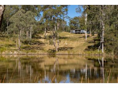 Farm Sold - NSW - Minimbah - 2312 - 100 REASONS TO BUY 99 ACRES  (Image 2)