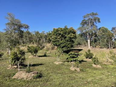 Farm Sold - QLD - Mount Jukes - 4740 - YOUR OWN PIECE OF PARADISE  (Image 2)