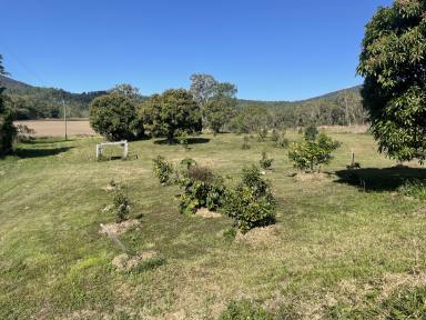 Farm Sold - QLD - Mount Jukes - 4740 - YOUR OWN PIECE OF PARADISE  (Image 2)