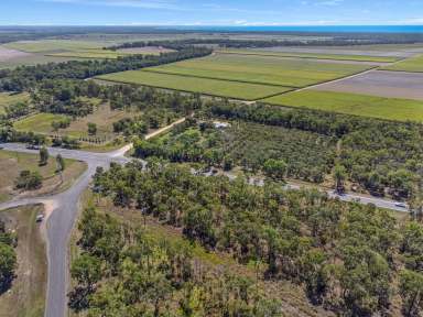 Farm Sold - QLD - Mutarnee - 4816 - SOLD By Allison Gough  (Image 2)