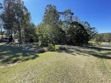 Farm Sold - NSW - Copmanhurst - 2460 - AFFORDABLE ACRE! CHEAP RATES, VILLAGE LIFESTYLE  (Image 2)