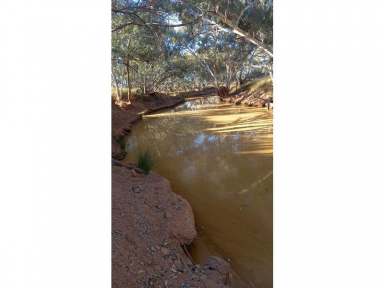 Farm Sold - QLD - Wyandra - 4489 - A chance to buy large parcel of grazing land  (Image 2)