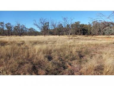 Farm Sold - QLD - Wyandra - 4489 - A chance to buy large parcel of grazing land  (Image 2)