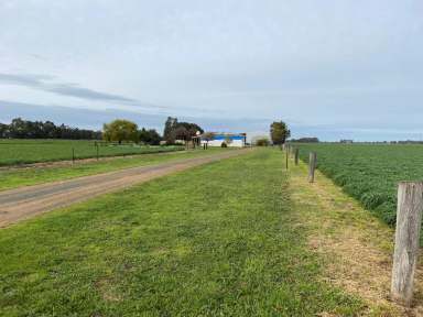 Farm Sold - VIC - Fairy Dell - 3561 - 100 Acres with Housing, Plant and Equipment and Crops given in.  (Image 2)