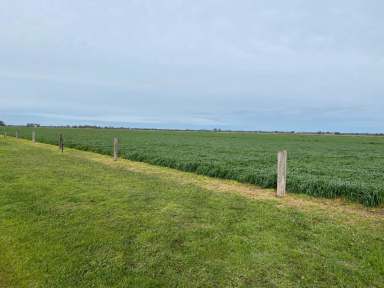 Farm Sold - VIC - Fairy Dell - 3561 - 100 Acres with Housing, Plant and Equipment and Crops given in.  (Image 2)