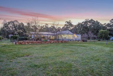 Farm Sold - WA - Gidgegannup - 6083 - Space, Seclusion, Serenity and 60 Acres  (Image 2)
