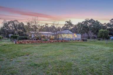 Farm Sold - WA - Gidgegannup - 6083 - Space, Seclusion, Serenity and 60 Acres  (Image 2)