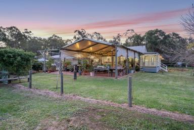 Farm Sold - WA - Gidgegannup - 6083 - Space, Seclusion, Serenity and 60 Acres  (Image 2)