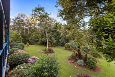 Farm Sold - QLD - Lake Macdonald - 4563 - A Secluded Garden Sanctuary Awaits  (Image 2)