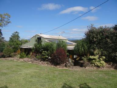 Farm Sold - QLD - Mount Ossa - 4741 - Awesome Mt Charlton - Mt Ossa rural - rare Murray creek frontage  (Image 2)