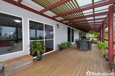 Farm Sold - QLD - Sunnyside - 4737 - A rare find for the horse enthusiast! Not to be missed!  (Image 2)