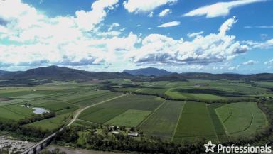 Farm Sold - QLD - Marian - 4753 - Development Land in the Heart of Marian!  (Image 2)