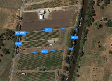 Farm Sold - WA - Henley Brook - 6055 - Breathtaking Riverfront Farming Property  (Image 2)