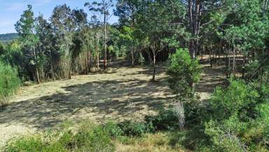 Farm Sold - NSW - Herons Creek - 2439 - Small Rural Holding with Dwelling Entitlement  (Image 2)