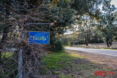 Farm Sold - NSW - Currabubula - 2342 - GOOD AS GOLD  (Image 2)